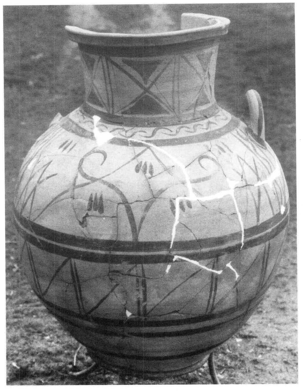 Pithamphora with floral motifs recovered from the cemetery at Mende.